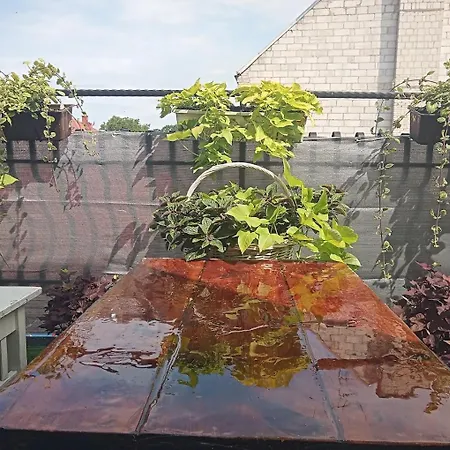 Hotelowe Starówka Nocleg ze śniadaniem 3*