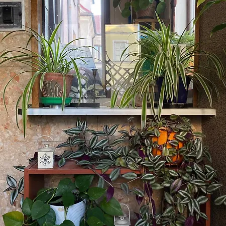 Hotelowe Starówka Ostroleka (Ostroleka)