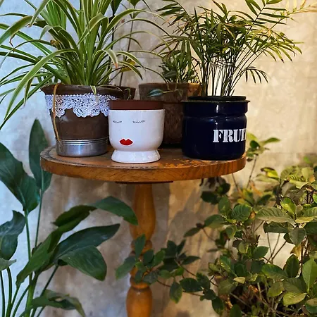 Nocleg ze śniadaniem Hotelowe Starówka Ostroleka (Ostroleka)