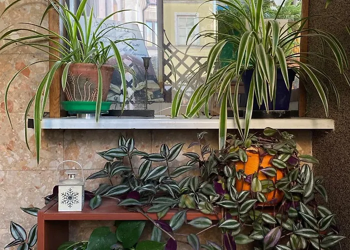 Hotelowe Starówka Ostroleka (Ostroleka)